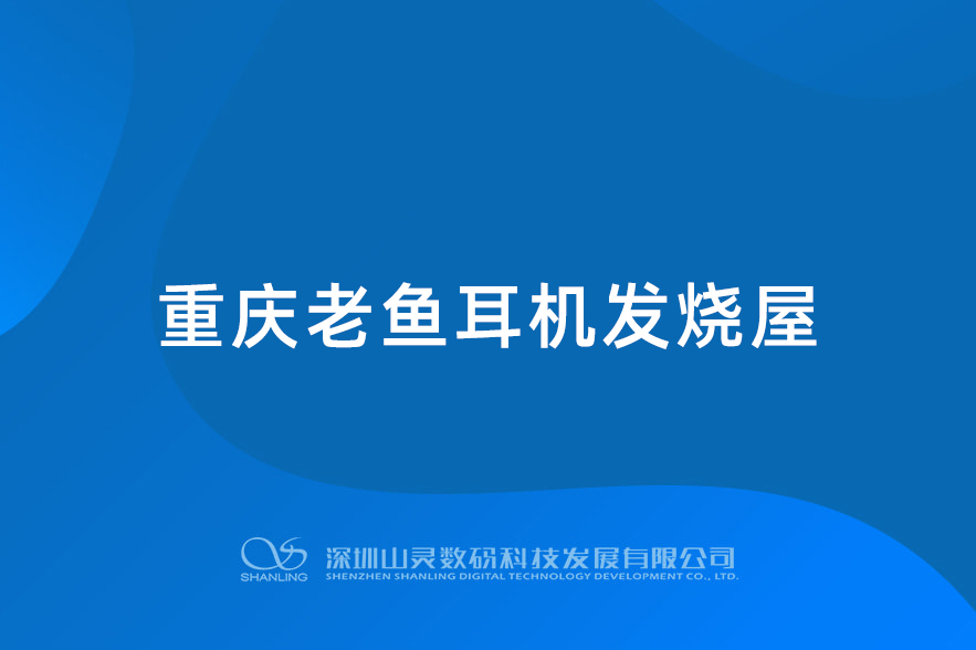 重慶老魚耳機發(fā)燒屋